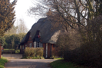 Ivy Cottage 2011